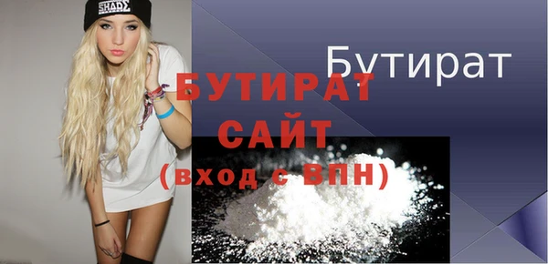 дживик Ельня