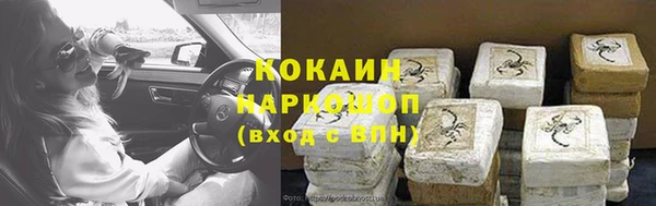 дживик Ельня