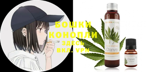 PSILOCYBIN Елабуга
