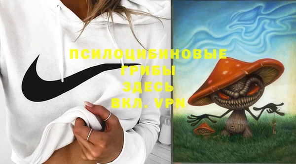 PSILOCYBIN Елабуга