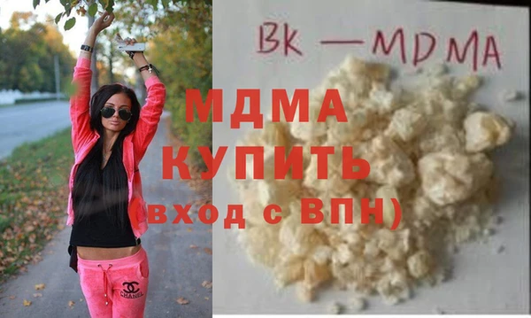 дживик Ельня