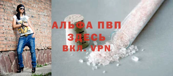 дживик Ельня